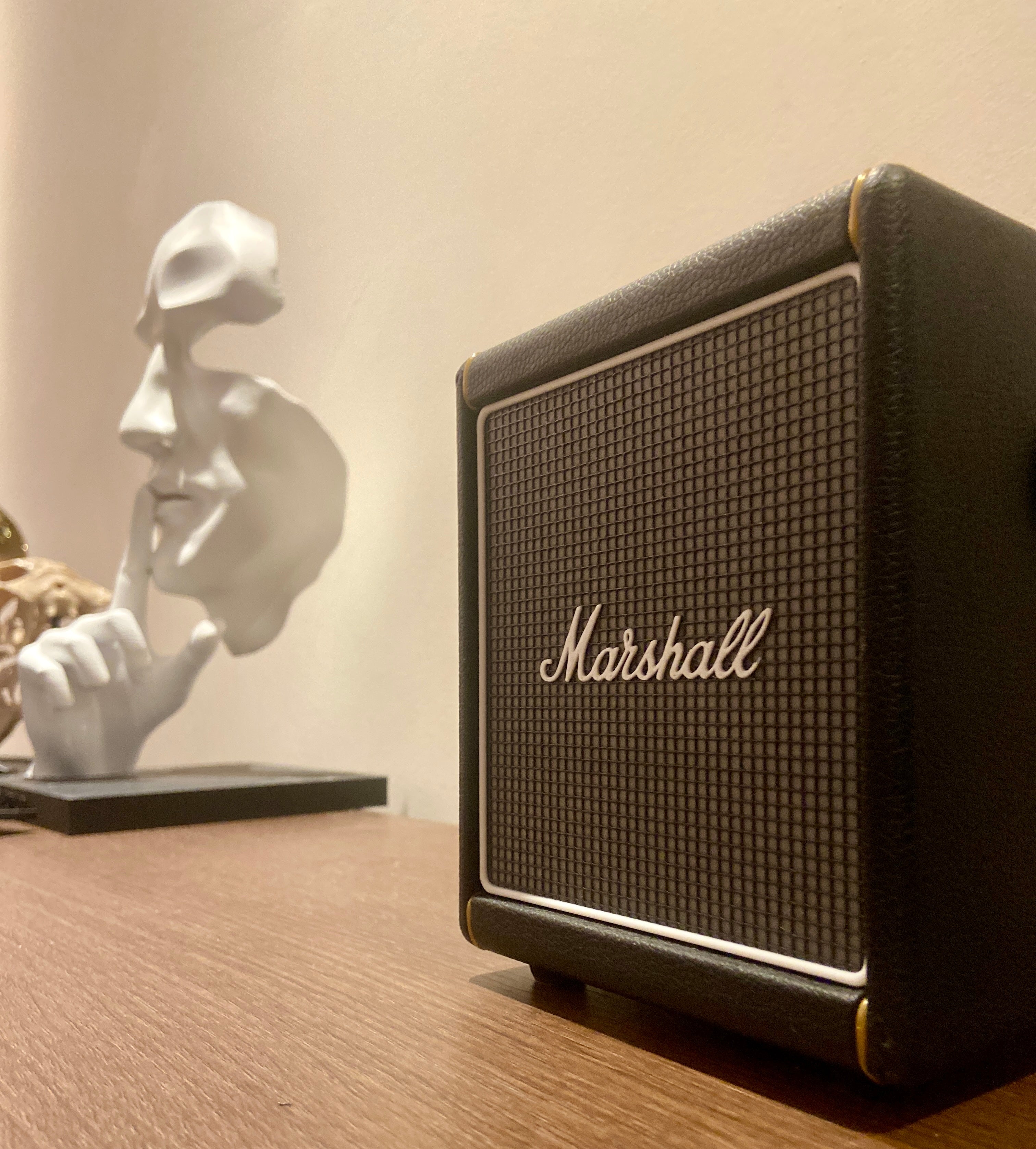 Griglia Frontale Custom Spark Mini The British Legend